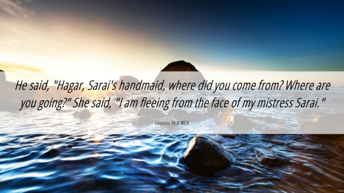 Picture 06 - Genesis 16:8 WEB Desktop Wallpaper - He said, 