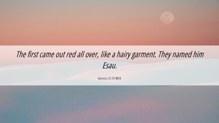 Picture 06 - Genesis 25:25 WEB Desktop Wallpaper - The first came out red all over, like a hairy - Desktop Bible Verse Wallpaper
