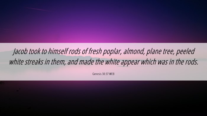 Picture 06 - Genesis 30:37 WEB Desktop Wallpaper - Jacob took to himself rods of fresh poplar, - Desktop Bible Verse Wallpaper