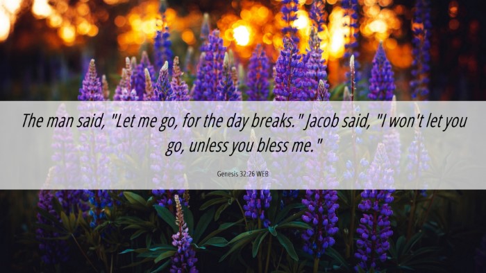 Picture 06 - Genesis 32:26 WEB Desktop Wallpaper - The man said, 