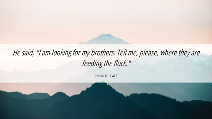 Picture 06 - Genesis 37:16 WEB Desktop Wallpaper - He said, 