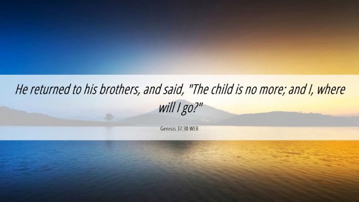Picture 06 - Genesis 37:30 WEB Desktop Wallpaper - He returned to his brothers, and said, 