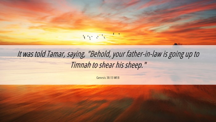 Picture 06 - Genesis 38:13 WEB Desktop Wallpaper - It was told Tamar, saying, 