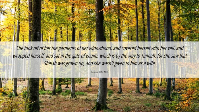 Picture 06 - Genesis 38:14 WEB Desktop Wallpaper - She took off of her the garments of her - Desktop Bible Verse Wallpaper
