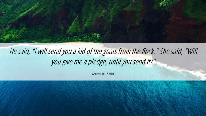 Picture 06 - Genesis 38:17 WEB Desktop Wallpaper - He said, 