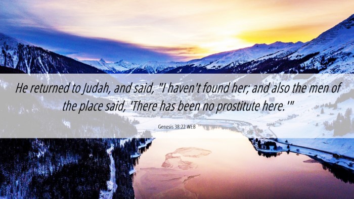 Picture 06 - Genesis 38:22 WEB Desktop Wallpaper - He returned to Judah, and said, 