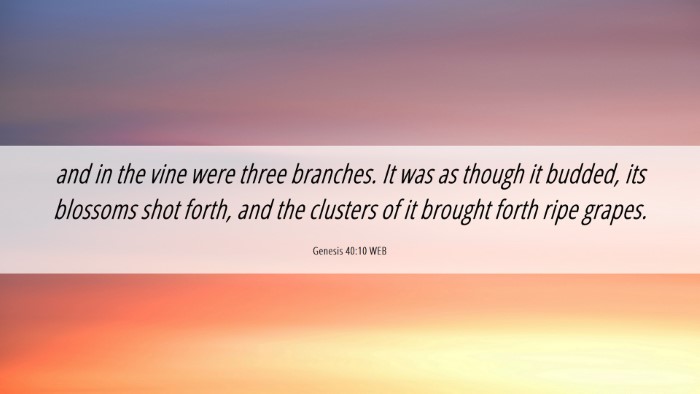 Picture 06 - Genesis 40:10 WEB Desktop Wallpaper - and in the vine were three branches. It was as - Desktop Bible Verse Wallpaper
