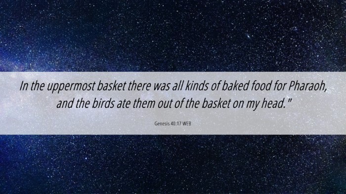 Picture 06 - Genesis 40:17 WEB Desktop Wallpaper - In the uppermost basket there was all kinds of - Desktop Bible Verse Wallpaper