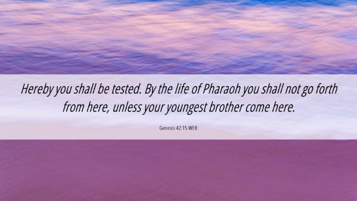 Picture 06 - Genesis 42:15 WEB Desktop Wallpaper - Hereby you shall be tested. By the life of - Desktop Bible Verse Wallpaper