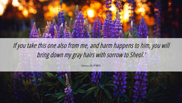 Picture 06 - Genesis 44:29 WEB Desktop Wallpaper - If you take this one also from me, and harm - Desktop Bible Verse Wallpaper