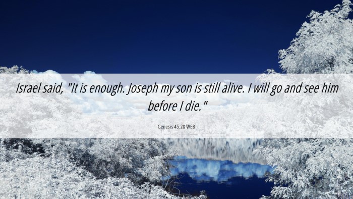 Picture 06 - Genesis 45:28 WEB Desktop Wallpaper - Israel said, 