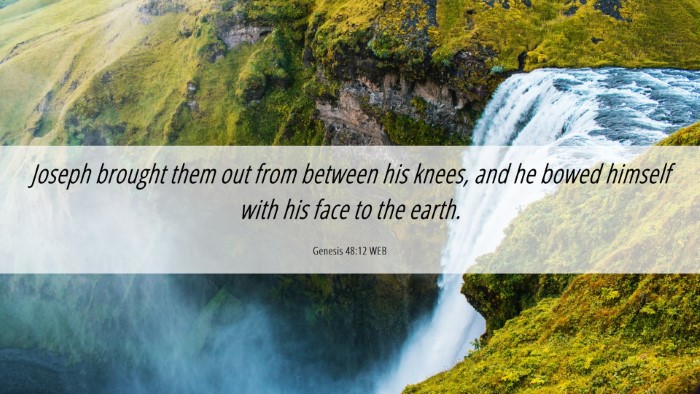 Picture 06 - Genesis 48:12 WEB Desktop Wallpaper - Joseph brought them out from between his knees, - Desktop Bible Verse Wallpaper