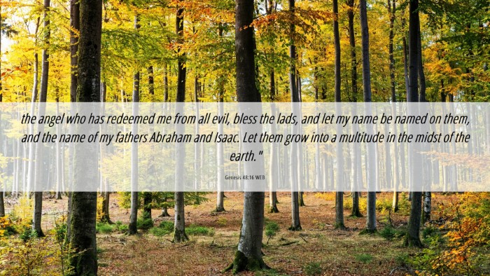 Picture 06 - Genesis 48:16 WEB Desktop Wallpaper - the angel who has redeemed me from all evil, - Desktop Bible Verse Wallpaper
