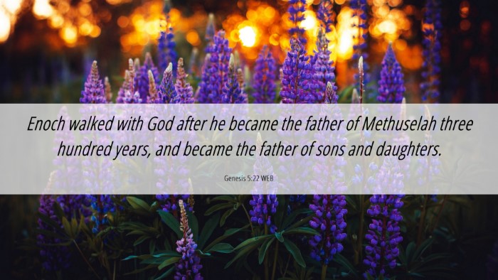 Picture 06 - Genesis 5:22 WEB Desktop Wallpaper - Enoch walked with God after he became the father - Desktop Bible Verse Wallpaper