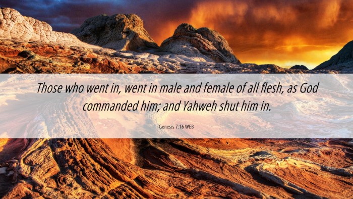 Picture 06 - Genesis 7:16 WEB Desktop Wallpaper - Those who went in, went in male and female of all - Desktop Bible Verse Wallpaper