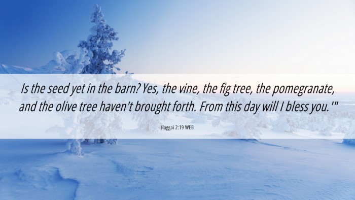 Picture 06 - Haggai 2:19 WEB Desktop Wallpaper - Is the seed yet in the barn? Yes, the vine, the - Desktop Bible Verse Wallpaper