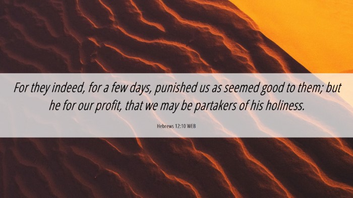 Picture 06 - Hebrews 12:10 WEB Desktop Wallpaper - For they indeed, for a few days, punished us as - Desktop Bible Verse Wallpaper