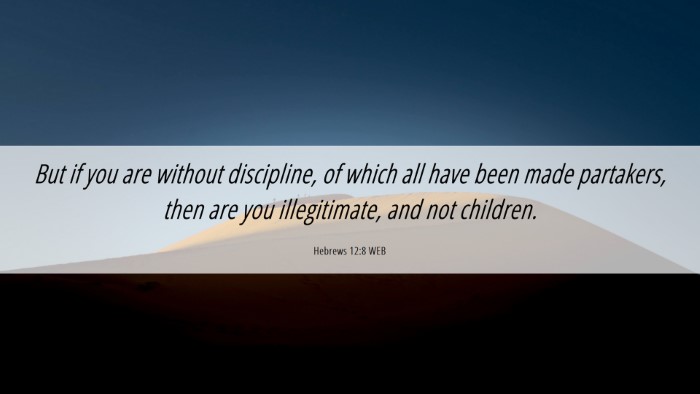 Picture 06 - Hebrews 12:8 WEB Desktop Wallpaper - But if you are without discipline, of which all - Desktop Bible Verse Wallpaper