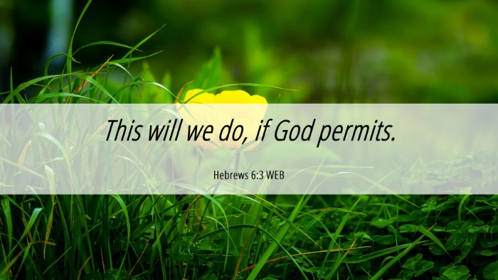Picture 06 - Hebrews 6:3 WEB Desktop Wallpaper - This will we do, if God - Desktop Bible Verse Wallpaper