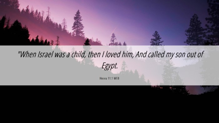 Picture 06 - Hosea 11:1 WEB Desktop Wallpaper - 