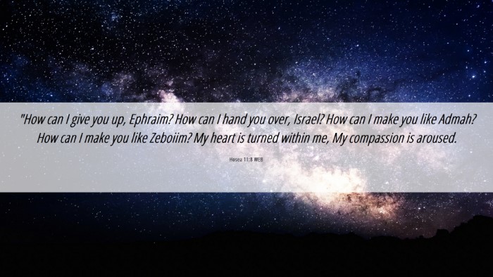 Picture 06 - Hosea 11:8 WEB Desktop Wallpaper - 
