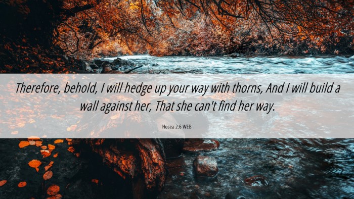 Picture 06 - Hosea 2:6 WEB Desktop Wallpaper - Therefore, behold, I will hedge up your way with - Desktop Bible Verse Wallpaper