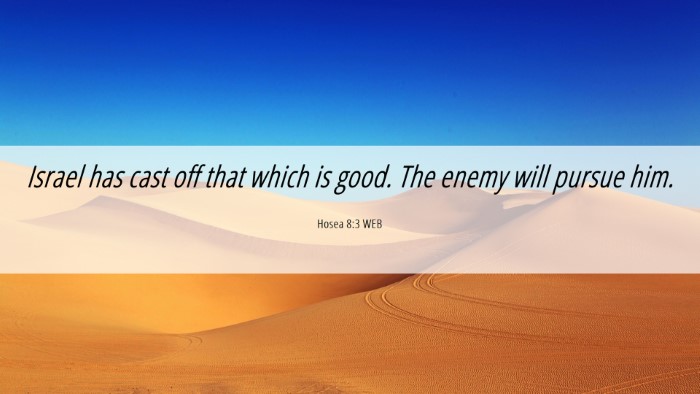 Picture 06 - Hosea 8:3 WEB Desktop Wallpaper - Israel has cast off that which is good. The enemy - Desktop Bible Verse Wallpaper