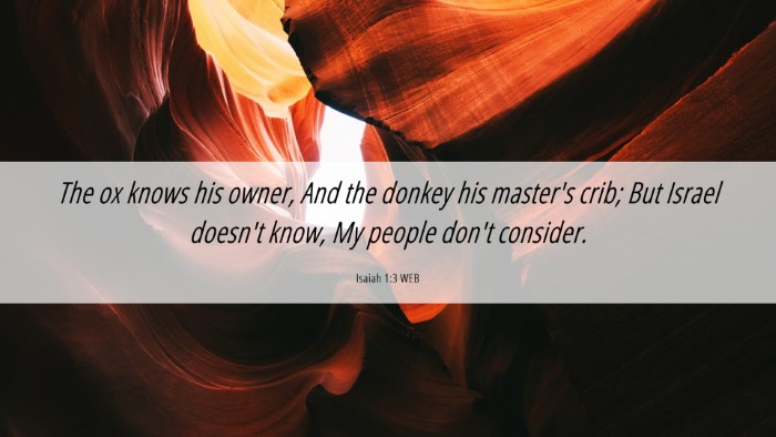 Picture 06 - Isaiah 1:3 WEB Desktop Wallpaper - The ox knows his owner, And the donkey his - Desktop Bible Verse Wallpaper