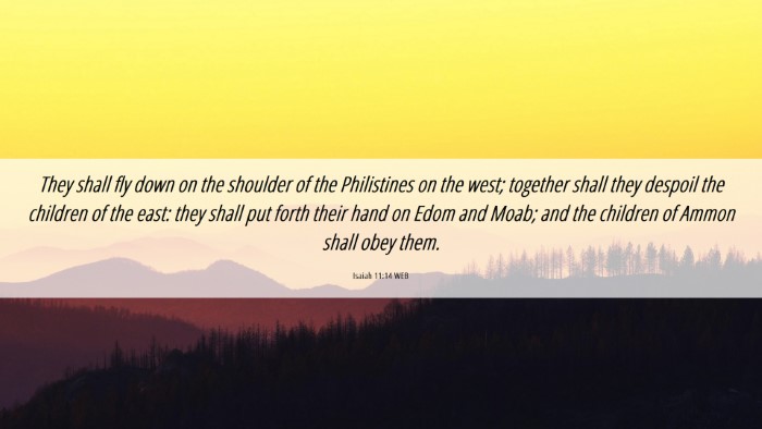 Picture 06 - Isaiah 11:14 WEB Desktop Wallpaper - They shall fly down on the shoulder of the - Desktop Bible Verse Wallpaper