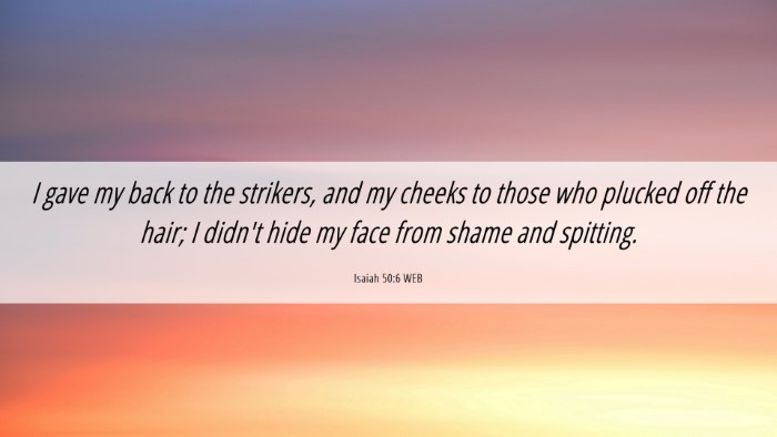 Picture 06 - Isaiah 50:6 WEB Desktop Wallpaper - I gave my back to the strikers, and my cheeks to - Desktop Bible Verse Wallpaper