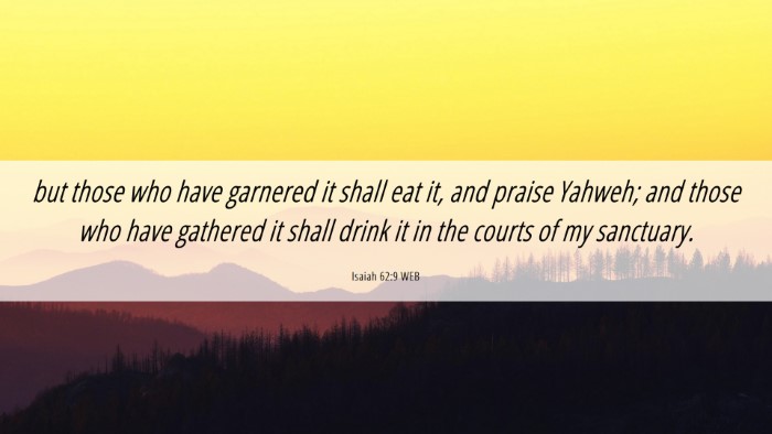 Picture 06 - Isaiah 62:9 WEB Desktop Wallpaper - but those who have garnered it shall eat it, and - Desktop Bible Verse Wallpaper