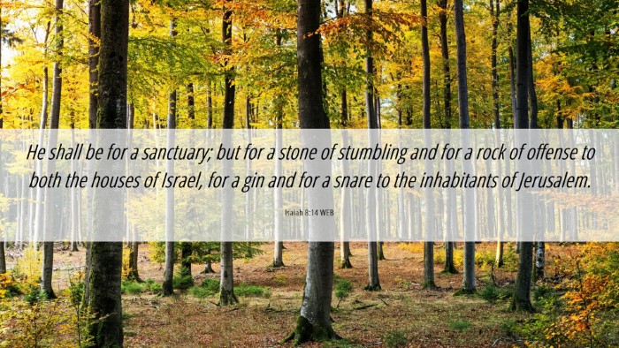 Picture 06 - Isaiah 8:14 WEB Desktop Wallpaper - He shall be for a sanctuary; but for a stone of - Desktop Bible Verse Wallpaper