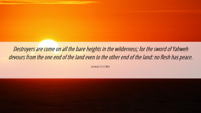 Picture 06 - Jeremiah 12:12 WEB Desktop Wallpaper - Destroyers are come on all the bare heights in - Desktop Bible Verse Wallpaper