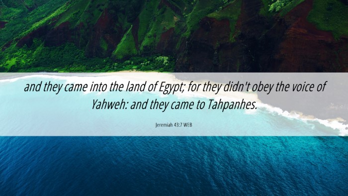 Picture 06 - Jeremiah 43:7 WEB Desktop Wallpaper - and they came into the land of Egypt; for they - Desktop Bible Verse Wallpaper