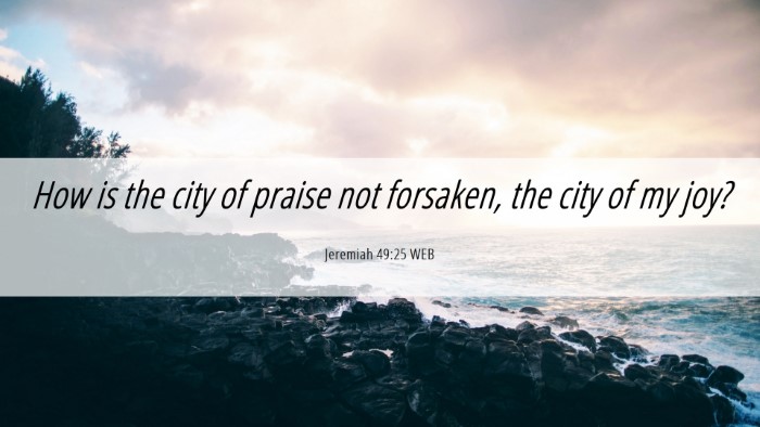 Picture 06 - Jeremiah 49:25 WEB Desktop Wallpaper - How is the city of praise not forsaken, the city - Desktop Bible Verse Wallpaper