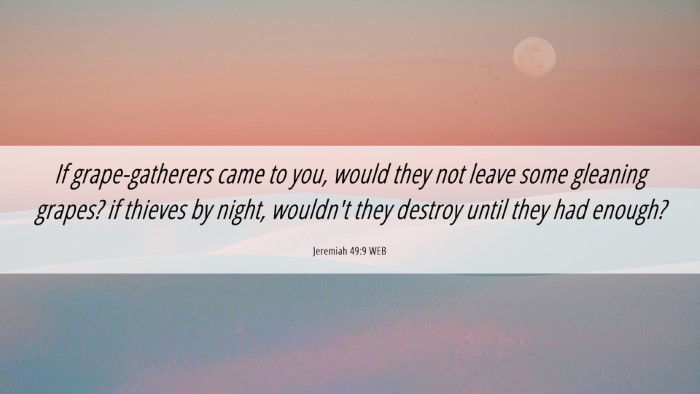 Picture 06 - Jeremiah 49:9 WEB Desktop Wallpaper - If grape-gatherers came to you, would they not - Desktop Bible Verse Wallpaper