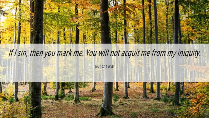 Picture 06 - Job 10:14 WEB Desktop Wallpaper - If I sin, then you mark me. You will not acquit - Desktop Bible Verse Wallpaper