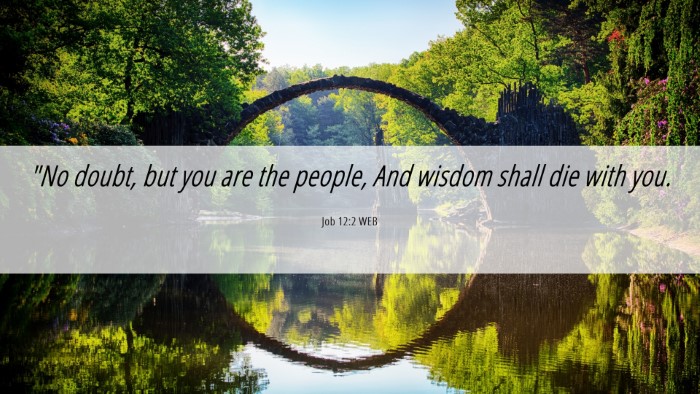 Picture 06 - Job 12:2 WEB Desktop Wallpaper - 