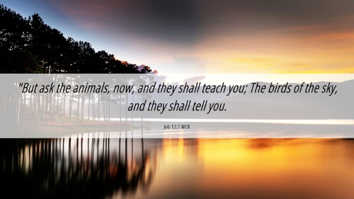 Picture 06 - Job 12:7 WEB Desktop Wallpaper - 