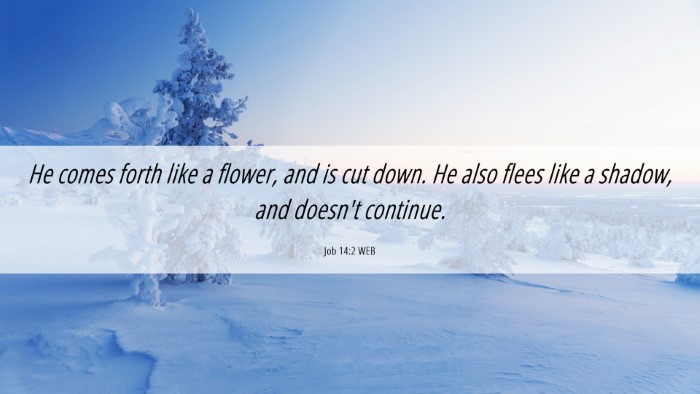 Picture 06 - Job 14:2 WEB Desktop Wallpaper - He comes forth like a flower, and is cut down. He - Desktop Bible Verse Wallpaper