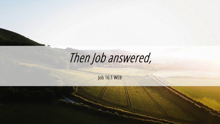 Picture 06 - Job 16:1 WEB Desktop Wallpaper - Then Job - Desktop Bible Verse Wallpaper