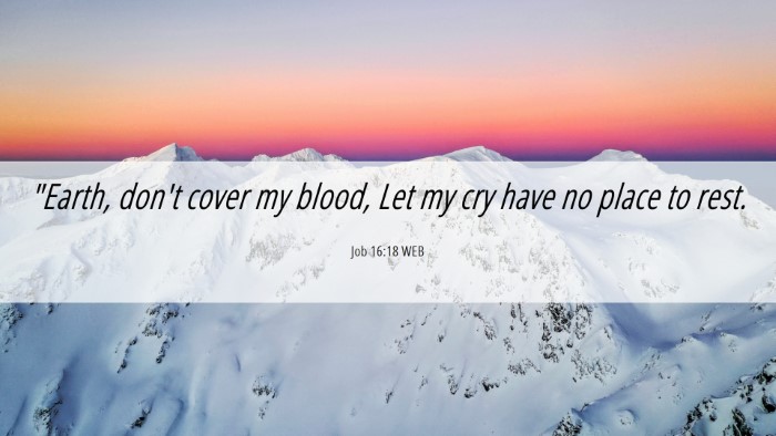 Picture 06 - Job 16:18 WEB Desktop Wallpaper - 