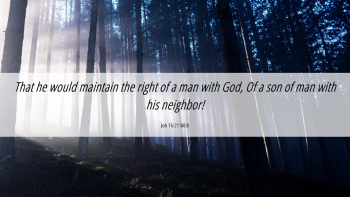 Picture 06 - Job 16:21 WEB Desktop Wallpaper - That he would maintain the right of a man with - Desktop Bible Verse Wallpaper