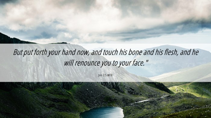 Picture 06 - Job 2:5 WEB Desktop Wallpaper - But put forth your hand now, and touch his bone - Desktop Bible Verse Wallpaper