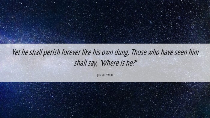 Picture 06 - Job 20:7 WEB Desktop Wallpaper - Yet he shall perish forever like his own dung, - Desktop Bible Verse Wallpaper