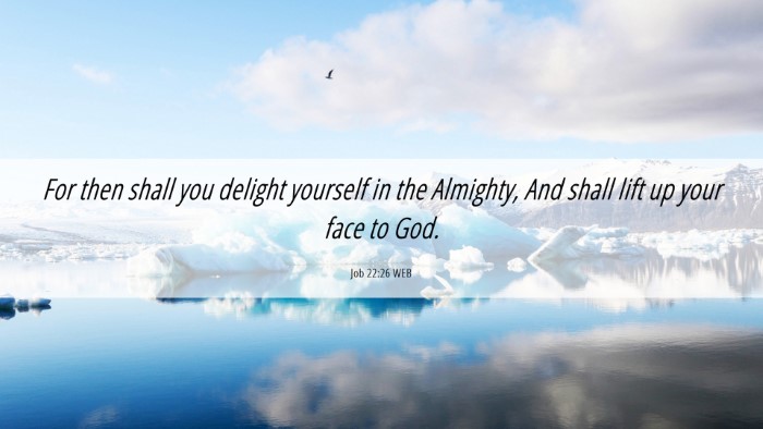 Picture 06 - Job 22:26 WEB Desktop Wallpaper - For then shall you delight yourself in the - Desktop Bible Verse Wallpaper