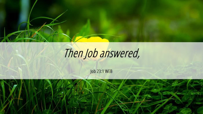 Picture 06 - Job 23:1 WEB Desktop Wallpaper - Then Job - Desktop Bible Verse Wallpaper