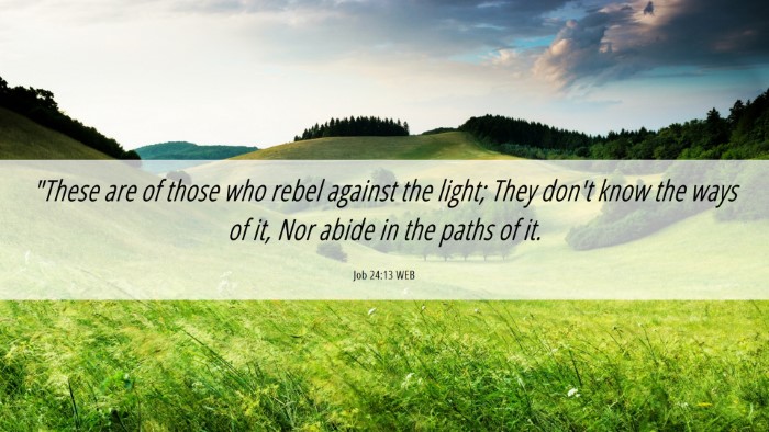Picture 06 - Job 24:13 WEB Desktop Wallpaper - 