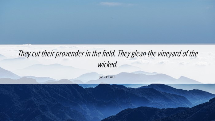 Picture 06 - Job 24:6 WEB Desktop Wallpaper - They cut their provender in the field. They glean - Desktop Bible Verse Wallpaper