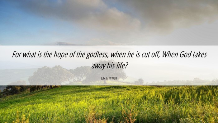 Picture 06 - Job 27:8 WEB Desktop Wallpaper - For what is the hope of the godless, when he is - Desktop Bible Verse Wallpaper